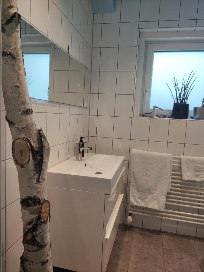 Zen Apartment - Spacious - Garden - Kitchen Karlsruhe Exterior foto